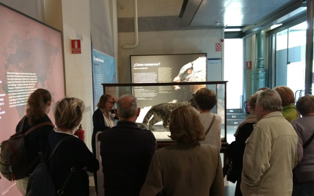 Visita al Museo